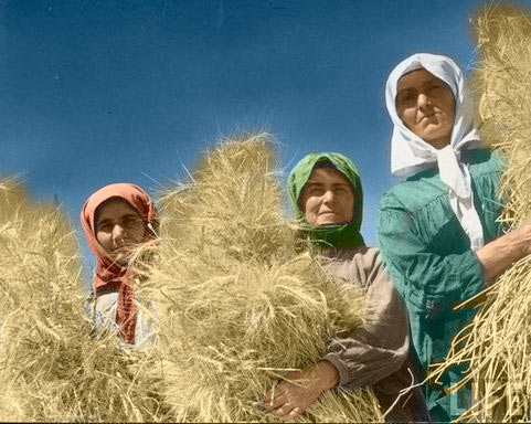 Кольоризація