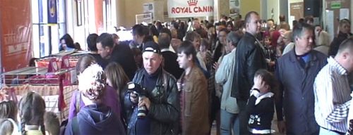 Детальніше про статтю Виставка котів у Львові 2009
