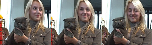 Виставка котів у Львові 2009