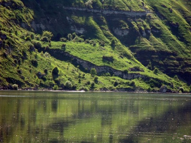 tovtru_2