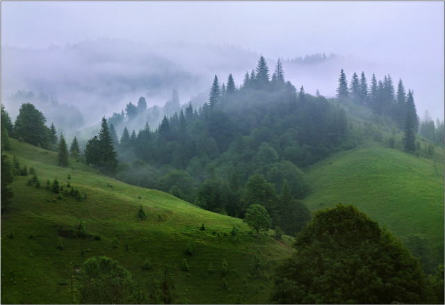 karpaty1